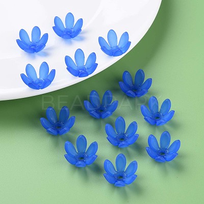Transparent Acrylic Beads MACR-S373-47-D06-1