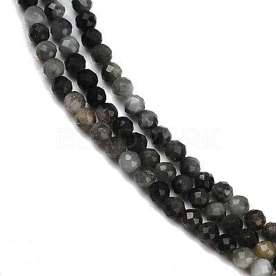 Natural Eagle Eye Stone Beads Strands G-RM250101-E6-1