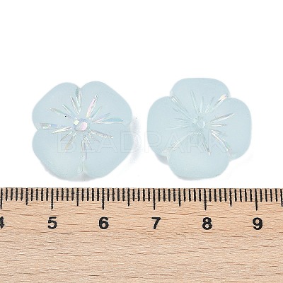 Frosted Transparent Acrylic Beads X1-OACR-P029-19B-06-1