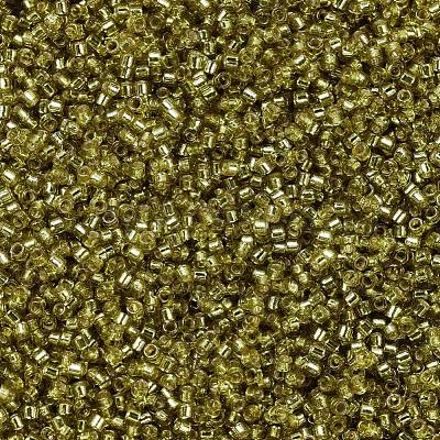 MIYUKI Delica Beads SEED-X0054-DB2164-1