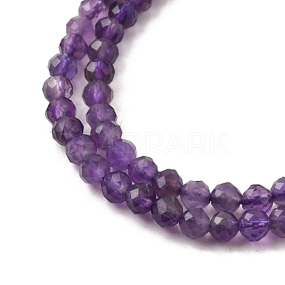 Natural Amethyst Beads Strands G-F460-50-A-1