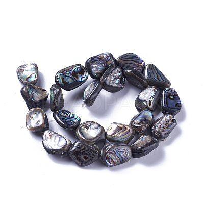 Natural Abalone Shell/Paua Shell Beads Strands SSHEL-F303-08A-1