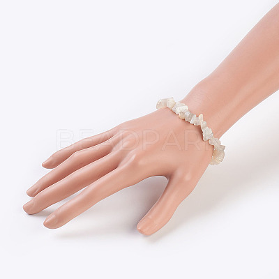 Natural White Moonstone Stretch Bracelets X-BJEW-JB03681-09-1
