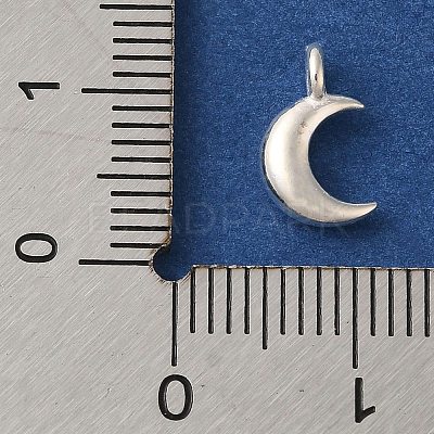 925 Sterling Silver Charms FIND-U013-06S-01-1