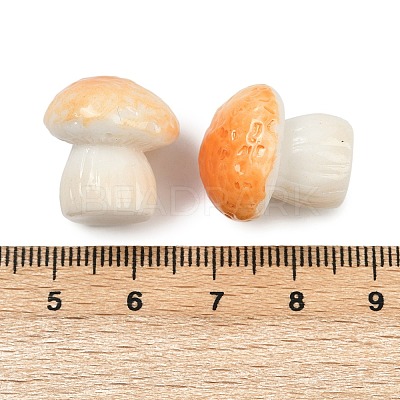Mushroom Themes Resin Display Decorations DJEW-S002-01B-1