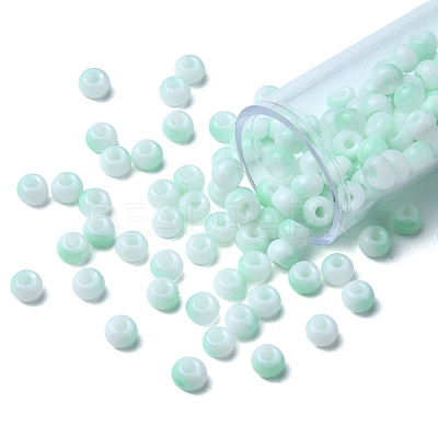 6/0 Opaque Glass Seed Beads SEED-YW0002-13N-1