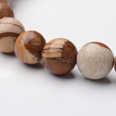 Natural Picture Jasper Round Beaded Stretch Bracelets BJEW-F203-03-1