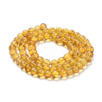 Natural Amber Beads Strands G-K308-C02-6mm-1