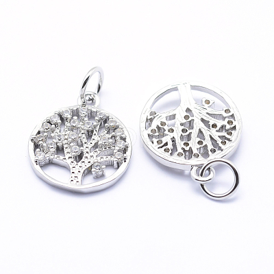 Brass Micro Pave Cubic Zirconia Charms ZIRC-L070-06P-1
