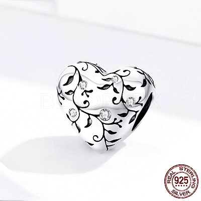 925 Sterling Silver Euorpean Beads STER-FF0012-02AS-1