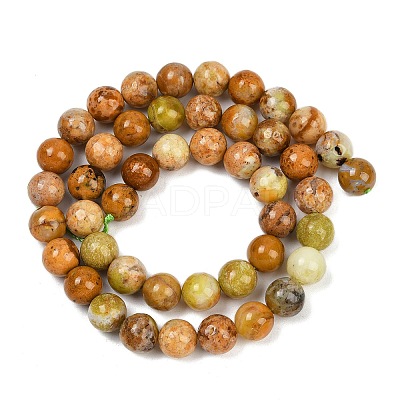 Natural Green Opal Beads Strands G-K245-A17-A04-1