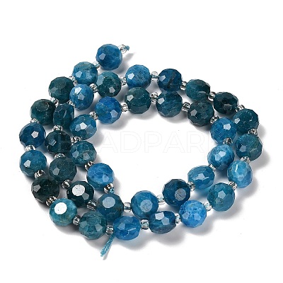 Natural Apatite Beads Strands G-B153-A05-1