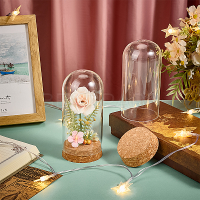 2Pcs Glass Cloche Dome Covers AJEW-BC0008-81-1