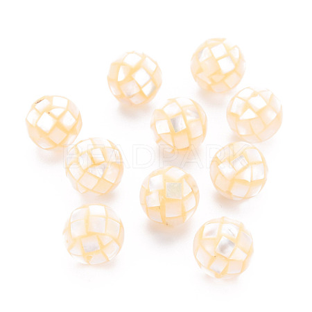 Resin Beads SSHEL-T014-38-12mm-05-1
