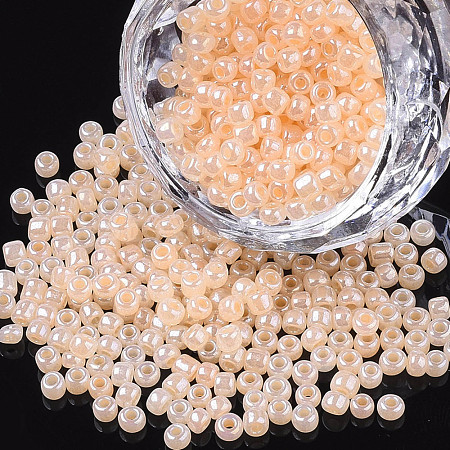 8/0 Glass Seed Beads X1-SEED-A011-3mm-147-1