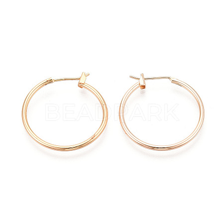 304 Stainless Steel Hoop Earrings EJEW-T048-25C-G-1