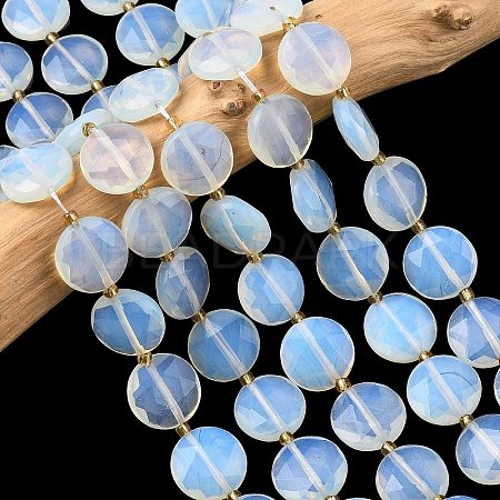 Opalite Beads Strands G-A292-A02-01-1