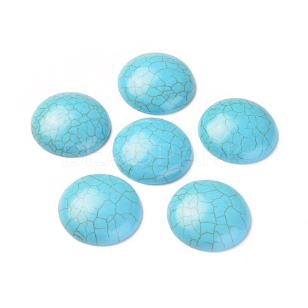 Synthetic Turquoise Cabochons TURQ-L031-035-1
