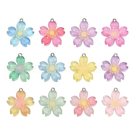 24Pcs 12 Colors Translucent Resin Pendants RESI-CJ0002-50-1