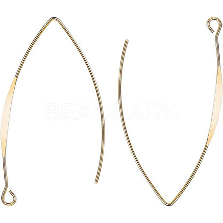 Brass Earring Hooks KK-BC0003-75G-1