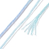 10 Skeins 6-Ply Polyester Embroidery Floss OCOR-K006-A11-3