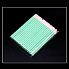 Nylon Disposable Lip Brush MRMJ-PW0002-21I-1