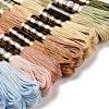12 Skeins 12 Colors 6-Ply Polyester Embroidery Floss OCOR-M009-01B-16-2