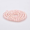 AB Color Plated Faceted Rondelle Electroplate Glass Beads Strands GLAA-A024D-AB05-2