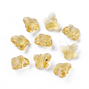 Transparent Glass Beads GLAA-P037-02A-30-1