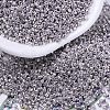 MIYUKI Delica Beads X-SEED-J020-DB0429-1