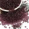 FGB 8/0 Grade A Round Glass Seed Beads SEED-Q006-3mm-F10-1