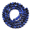 Drawbench Style Dyed Natural Freshwater Shell Beads Strands SHEL-T019-01G-3