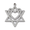 Non-Tarnish 304 Stainless Steel Pendants STAS-B062-19P-1