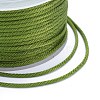 Polyester Braided Cords OCOR-I006-A01-36-3