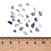 Natural Amethyst Chip Beads X-G-L453-06-2
