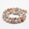 Faceted Natural Fire Crackle Agate Beads Strands G-F447-10mm-B10-2