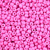 Baking Paint Glass Seed Beads SEED-S002-K2-2