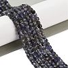 Natural Iolite Beads Strands G-H042-A52-02-2