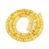 Natural Freshwater Shell Beads Strands SHEL-Q028-01C-2