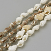 Natural Sea Shell Beads Strands X-SSHEL-R043-05-1
