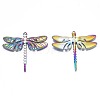 Rack Plating Rainbow Color Alloy Big Pendants PALLOY-N163-170A-3