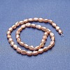 Natural Cultured Freshwater Pearl Beads Strands PEAR-P060-23C-2