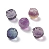 Natural Fluorite Beads G-P483-06-1