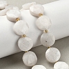 Natural Rainbow Moonstone Beads Strands G-C116-A168-03-1