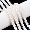 Natural White Shell Beads Strands SSHEL-N038-60-4