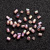 11/0 Two Cut Glass Seed Beads CSDB176-1