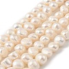 Natural Cultured Freshwater Pearl Beads Strands PEAR-P064-19J-04D-2