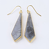 Natural/Synthetic Gemstone Dangle Earrings EJEW-P145-03-2