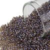 TOHO Round Seed Beads SEED-JPTR15-0926-1