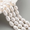 Natural Cultured Freshwater Pearl Beads Strands PEAR-P062-10C-1